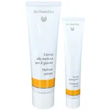 Dr. Hauschka Lait Démaquillant + Crème Purifiante 1 St Set