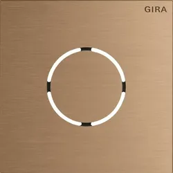 Gira Frontpl. Sprachmodul 5578921