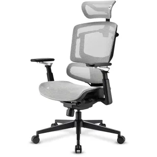 Sharkoon OfficePal C50M Grau
