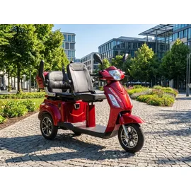 ECONELO E-Seniorenmobil Billy 2.0 3-Rad 1000 Watt Rot/Grau