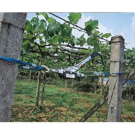 Kerbl Seilzug mit Ratsche 2 Tonnen, Stahl, 360° drehbarer Stahlhaken, automatische Bremse