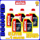 Motul Motocool Expert -37°C 1L
