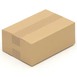 KK Verpackungen 50 Faltschachtel Versandkisten Schalteln 250x175x100