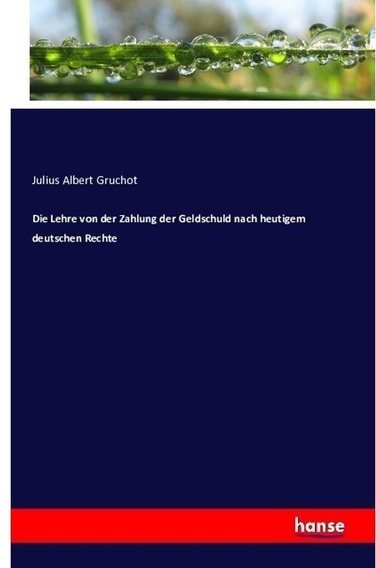 Die Lehre Von Der Zahlung Der Geldschuld Nach Heutigem Deutschen Rechte - Julius Albert Gruchot, Kartoniert (TB)