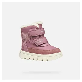 GEOX Willaboom Ankle-Boots Rosa 26