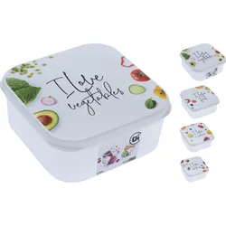 Vorratsdosen-Set