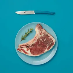 BERKEL Steakmesser erdöl blau, 4er-Set, hochwertige Schneidemesser von Berkel