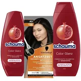 Schwarzkopf Ansatzset A5 Schwarz Stufe 3 (44 ml) Haaransatz kaschieren in nur 10 Minuten, Ansatzfarbe & Schauma Farbschutz-Shampoo (400 ml) & Spülung (200 ml) Color Glanz pflegt coloriertes Haar