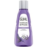 Guhl Silberglanz & Pflege Shampoo