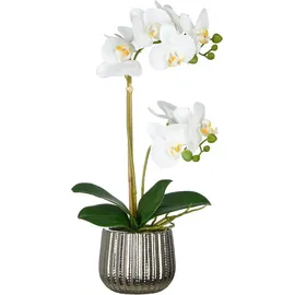 Creativ green Kunstorchidee Orchidee Phalaenopsis, Creativ green, Höhe 48 cm, mit real-touch-Blüten weiß