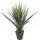 Paperflow meet powered by PAPERFLOW YUCCA Kunstpalme 60,0 cm