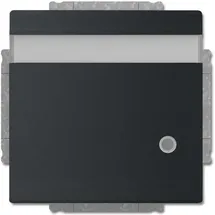 Busch-Jaeger Steckdoseneinsatz 20 EUKNBL-885 Schwarz