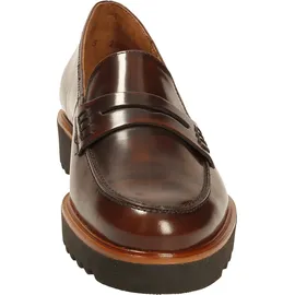 Paul Green 5017 salsa 37,5