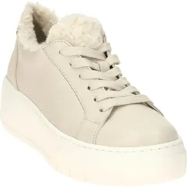 Gabor Sneaker low in beige - Gr.: 38