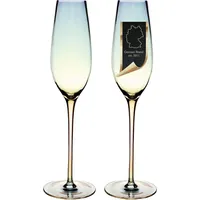 Intirilife Sektglas 0,2 l 2 St.