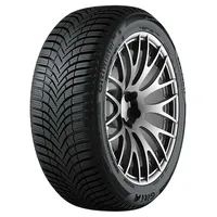 Giti Winter W2