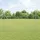 vidaXL Wildzaun 1000 x 160 cm Silber/Eisen