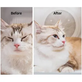 Petkit AIRSALON Max Smart Pet Dryer (PD10)