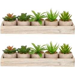 CREATIV green künstliche Pflanze Sukkulenten-Set im Holzkasten 5 Pflanzen 8-10cm im 6x5cm Topf, grün, im 2er Set