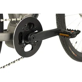 TOTEM Urban E-Bike Fitness 28 Zoll RH 51 cm Unisex platin