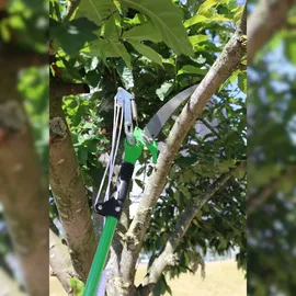 Buri Teleskop Astschneide-Set 1,30-2,40m