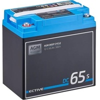 ECTIVE AGM Deep Cycle mit LCD-Anzeige 65Ah Versorgungsbatterie