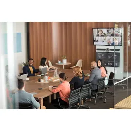 Logitech Rally Speaker