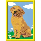 Ravensburger Malen nach Zahlen Kleiner Golden Retriever