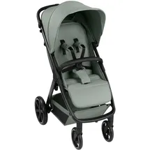 ABC-Design ABC Design Avus 2 Pine