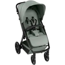 ABC-Design ABC Design Avus 2 Pine