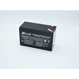 XCell 12.8-6 Spezial-Akku LiFePo-Block Flachstecker LiFePO 4 12.8V 6000 mAh