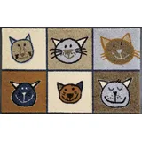 Wash+Dry Miau Miau 50 x 75 cm Mehrfarbig