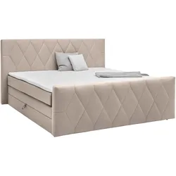 Boxspringbett Josie B Cappuccino ca. 180x200cm