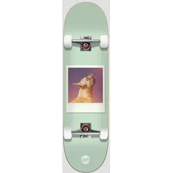 Jart Instant Film 8.25"X31.85" Skateboard uni Gr. Uni