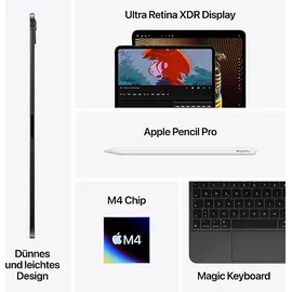 Apple iPad Pro 11" (5. Generation 2024) 2 TB Wi-Fi + Cellular Nanotexturglas Silber