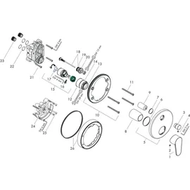 Hansgrohe Focus Thermostatregler (31945000)