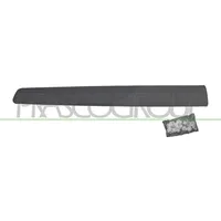PRASCO Zier-/Schutzleiste, Tür CI9181403