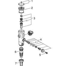Grohe WC-Druckspüler 43996000