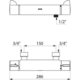 Delabie Securitherm Duschthermostat Chrom