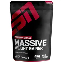 ESN Massive Weight Gainer, 4000 g Beutel, Vanilla Ice Cream