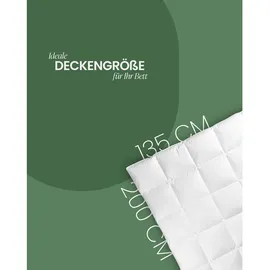 BestLivings Kassettenbett (4x6) - 135x200cm Downpass,