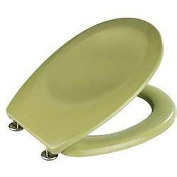 WENKO WC-Sitz Bergamo grün