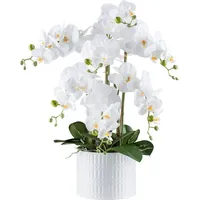 Creativ green Kunstorchidee Orchidee Phalaenopsis, Creativ green, Höhe 60