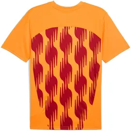 Puma Galatasaray Istanbul Aufwärmtrikot 2024/25 Herren 04 intense orange/red rhythm S