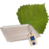 Hofmeister Holzwaren Backbrett Nudelbrett 75 cm Pappelholz