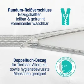 schlafhafen Ergonomische 7 Zonen 200 x 200 cm H2/H3