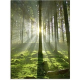 Artland Glasbild »Wald im Gegenlicht«, Wald, (1 St.), grün