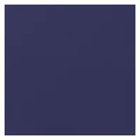 vidaXL Wassertank 1000 l blau