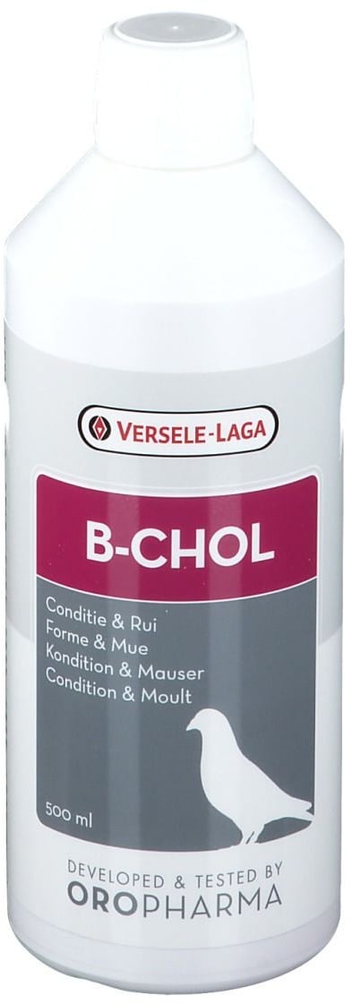 Versele- Laga B- Chol