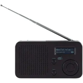 Imperial DABMAN 17 – Tragbares DAB+ & UKW-Radio (portables Digitalradio, Musikwiedergabe via Bluetooth und USB, austauschbarer Akku) – Schwarz